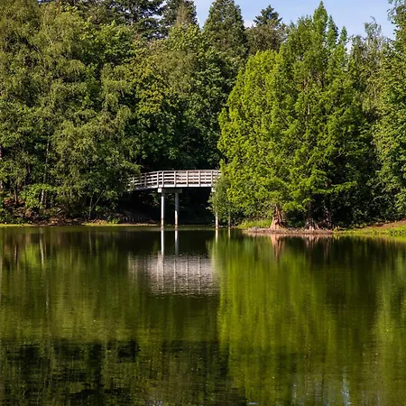 Budget W Kitchen, Station Close, Wifi Access