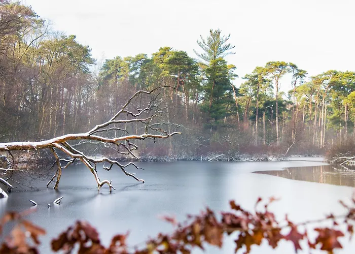 Budget W Kitchen, Station Close, Wifi Access Prázdninový dům